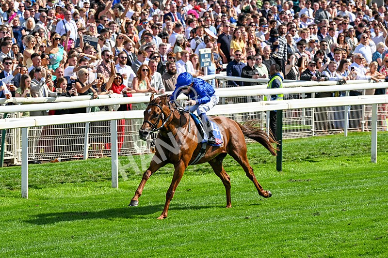 220826-Race 3-Notable Speech-0359 - Race 3 15.00pm Sky Bet City Of York Stakes