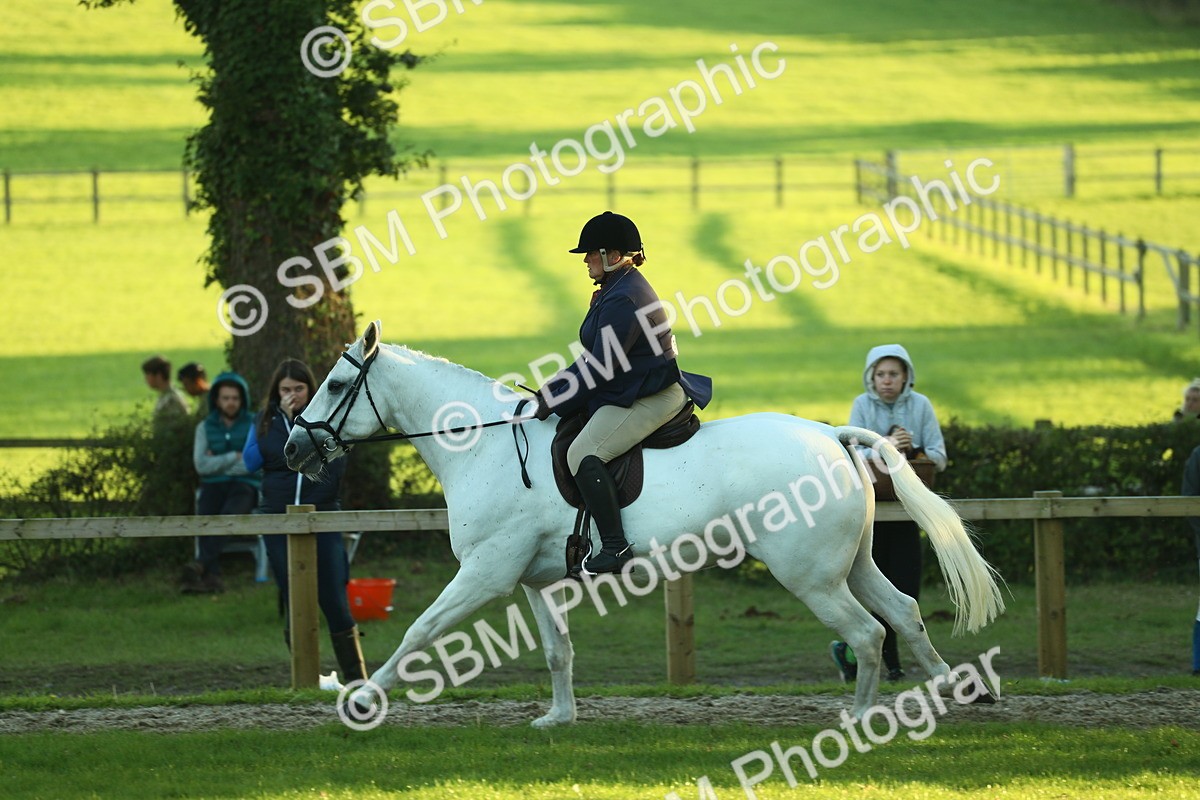 SBM_56437 - S14 - Riding Club Horse