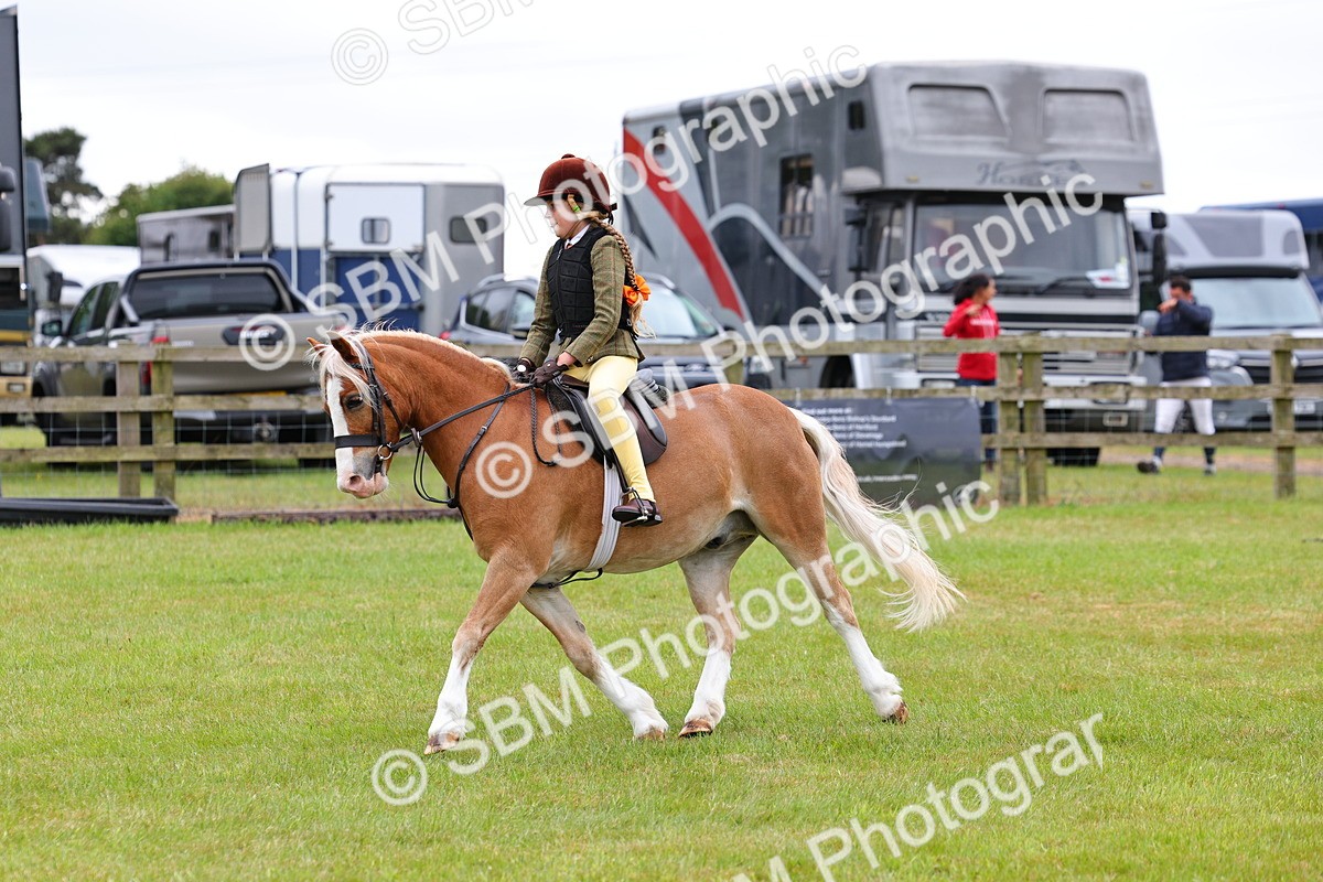 SBM_08738 - Class 42-43 - LIHS BSPS Heritage Working Sports Pony