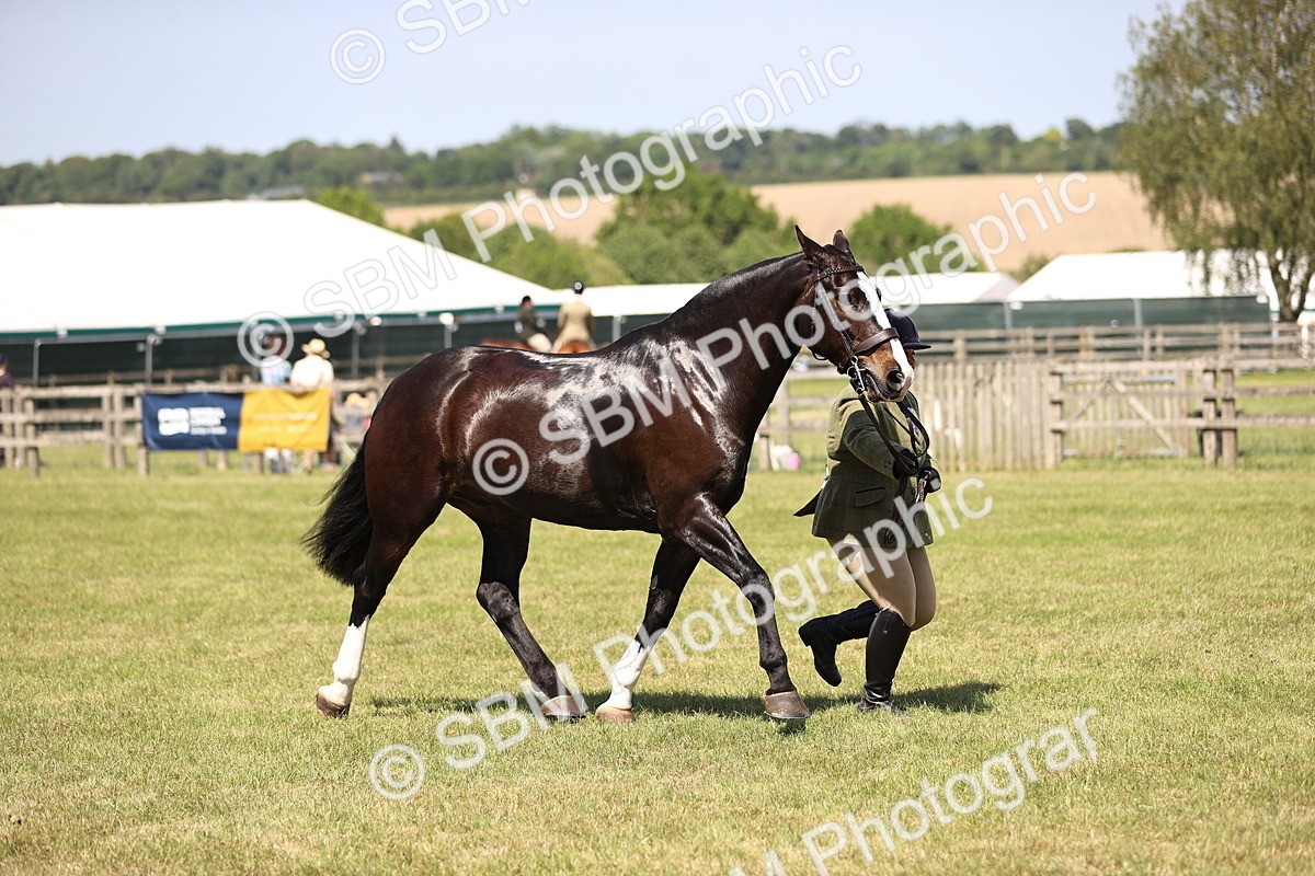 SBM_17941 - Class 81-83 - TSR Ridden Amateur of the Year - Horses