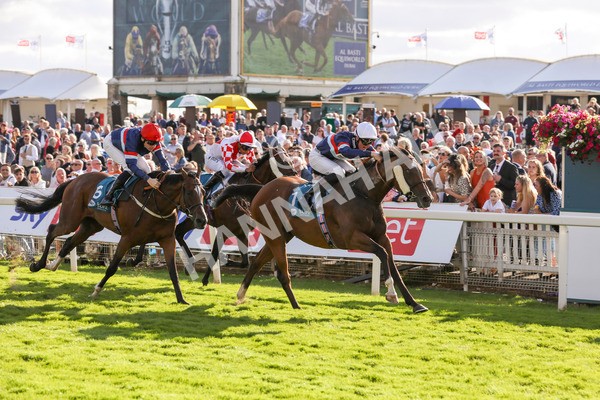 240824-Race 7-Sir Busker-9252 - Race 7 5.20pm Sky Bet Finale Handicap