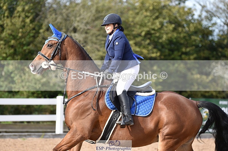 231015A-131732-08278 - Cls 25 95cm Amateur Q 2nd R