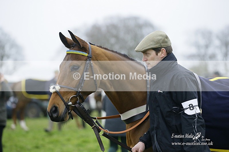 PtP 200222 538 - Countryside Alliance PtP Badbury Rings 20/02/22
