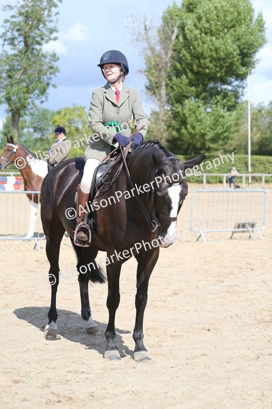 20260831-2805 - Class 16 and 17- Ridden Cob and Hunters