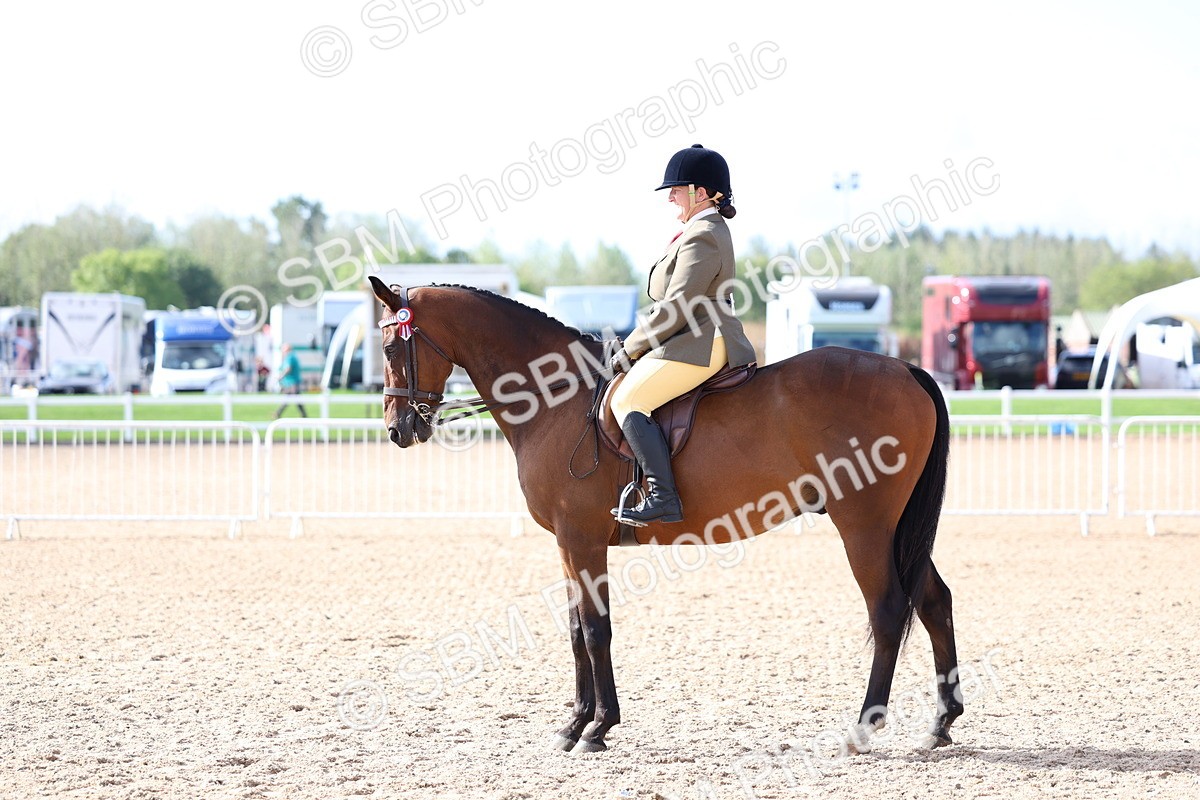 SBM_09158 - Class 303 - Ridden Pure Bred Horse Pony
