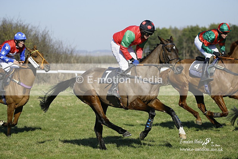 PtP 270222 61 - South & West Wilts Point-to-Point Larkhill 27/02/22