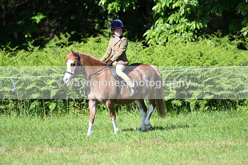 WJ7_0370 - Class 8 First Rally Pony