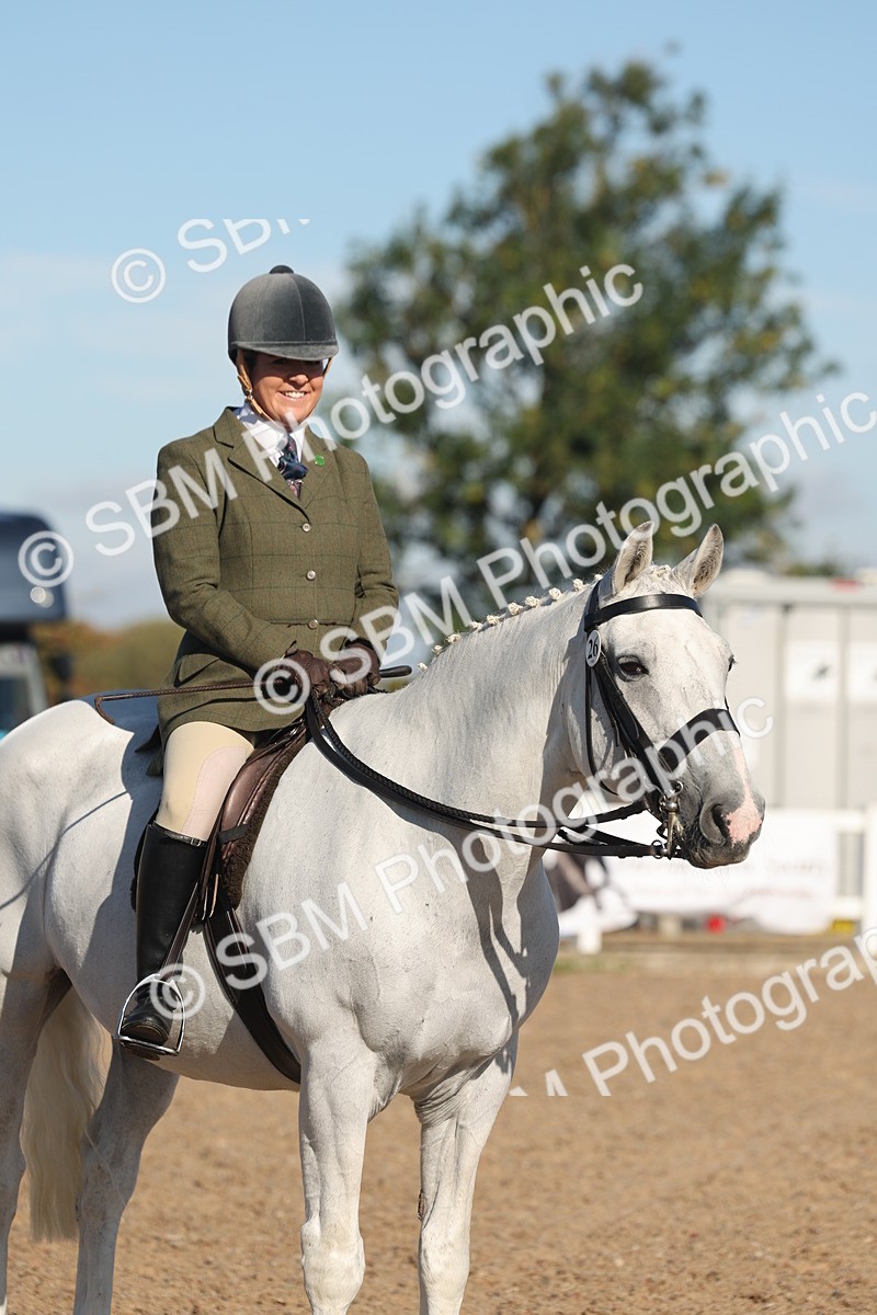 SBM_12226 - Class 303 - Ridden Pure Bred Horse Pony