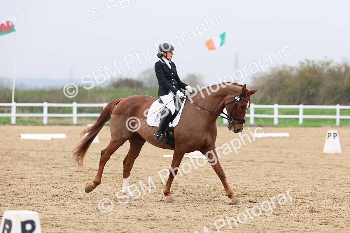 SBM_008430 - Class 11 - Medium 5