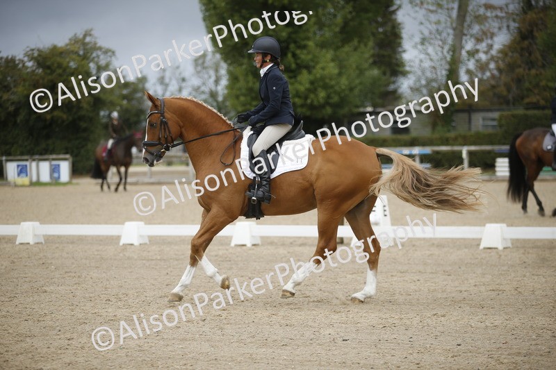 20260913-0206 - Class 3 - Novice 5