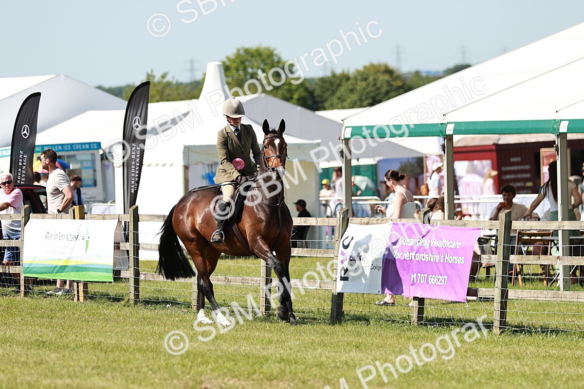 SBM_18499 - Class 112-113 - BSPS LIHS Working Sports Pony