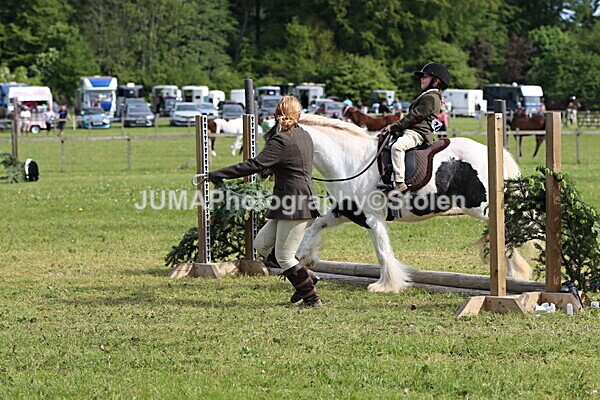 IMG_2190 - Working Hunter