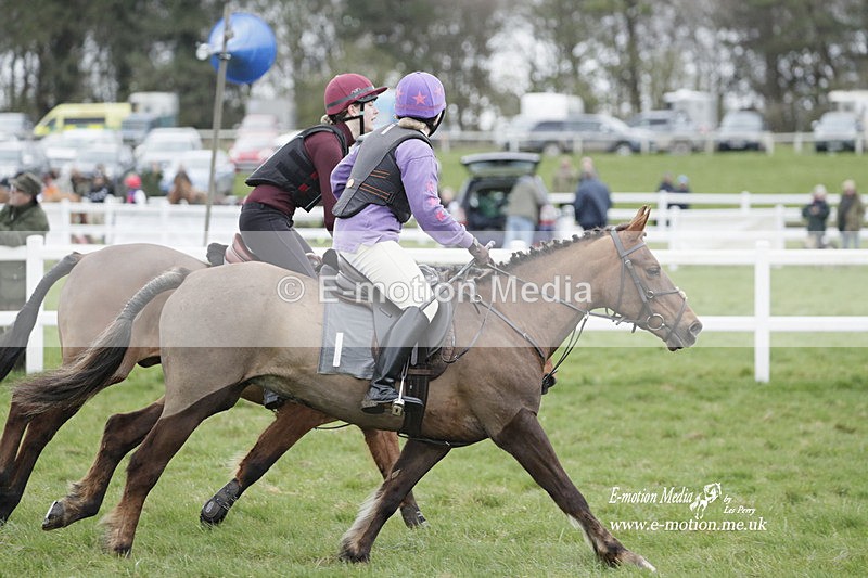PtP 260323 0095 - New Forest Hounds Point-to-Point Larkhill 26/03/23
