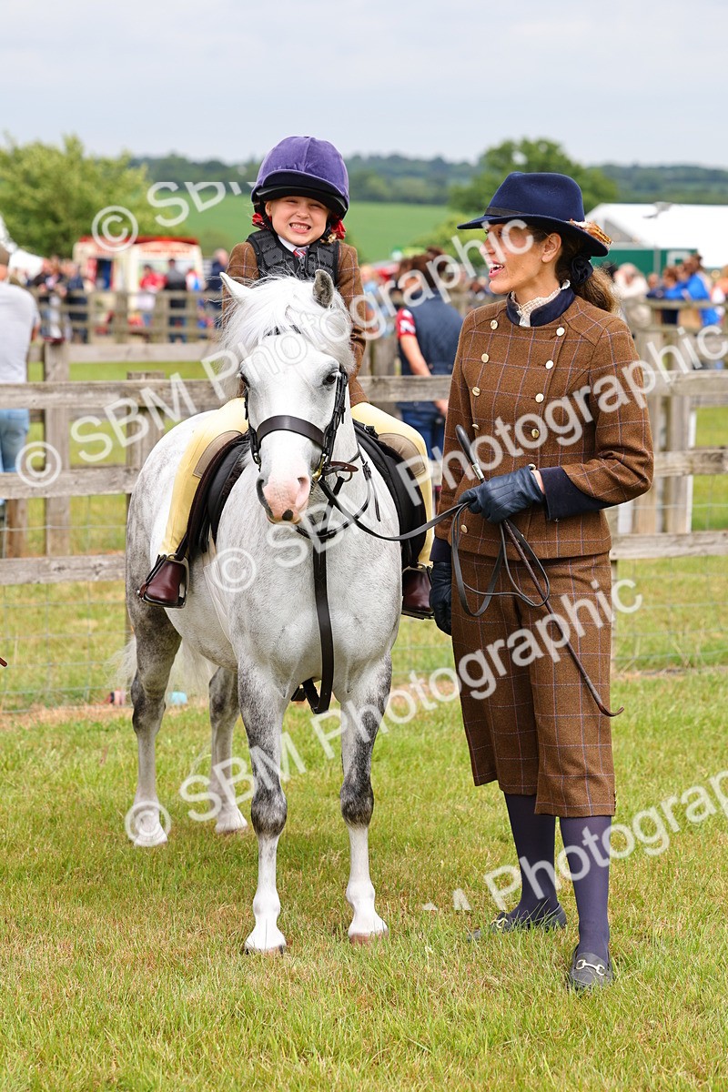 SBM_08316 - Class 42-43 - LIHS BSPS Heritage Working Sports Pony