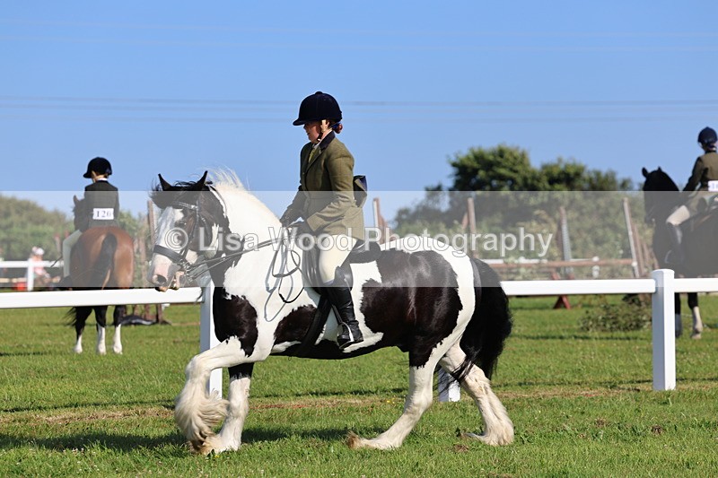 IMG_1524 - Class 30: Ridden Native/Trad Coloured Pony