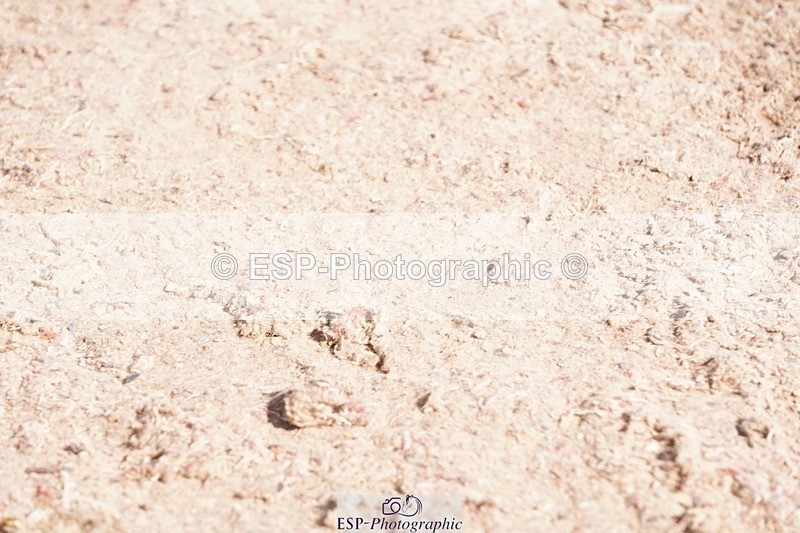 250510-094758-10133 - Cls 14 Snr 1.20m Open