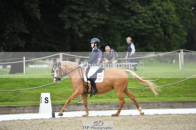 230812-123953-04187 - Cls 6 Novice Silver 12.10 to End