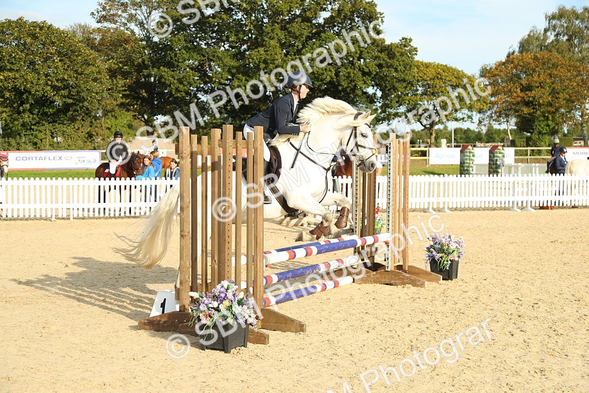 SBM_53554 - J8 - Junior Pony 65cm Championship