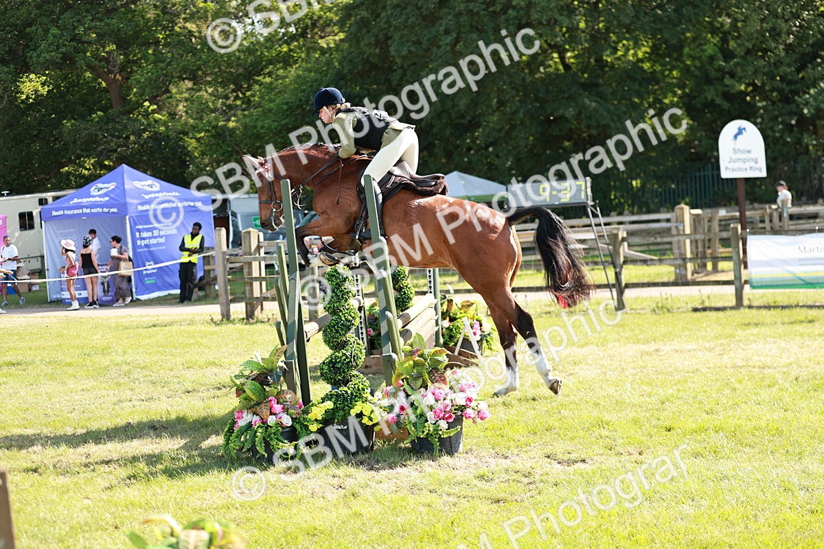 SBM_19138 - Class 115-116 - LIHS BSHA Rising Star Working Hunter & Show Horse