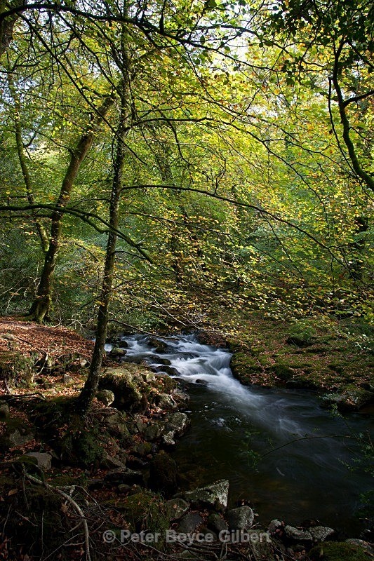  - The Countryside