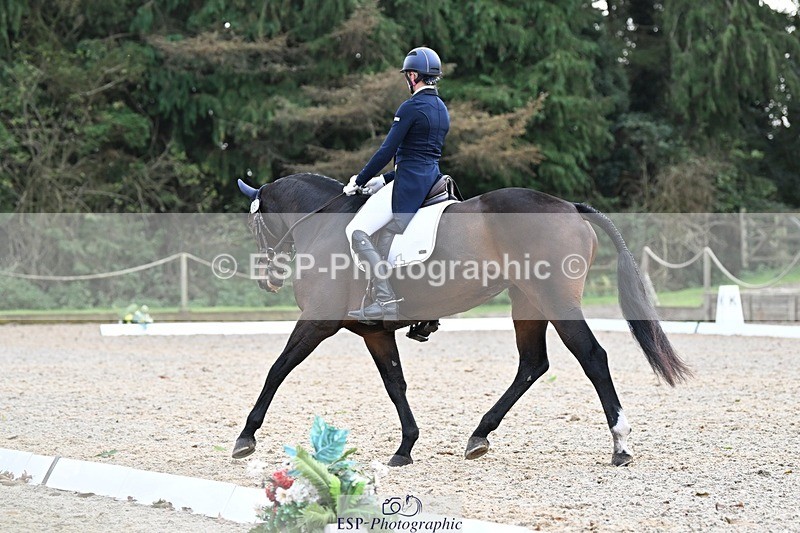 231019-145008-04283 - 057-OVERTON.TILANA'S.GOLD-Claire.Deuten-DR