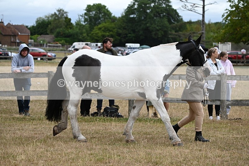 WJ6_8366 - Class 10 Coloured in Hand