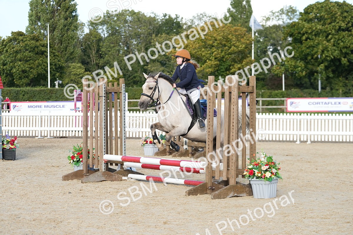 SBM_29136 - J43 - Horse & Hound Open 50cm