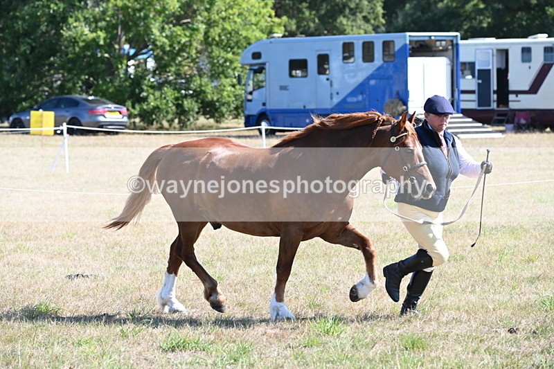 WJ6_4574 - Class 17 Mountain & Moorland