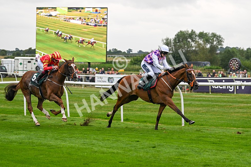 190824-Race 1-Shes A Novelty-3274 - Race 1