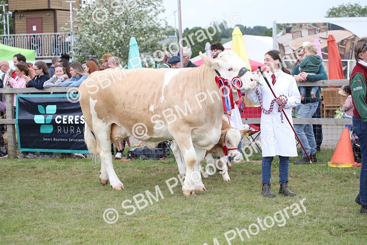 SBM_07852 - Grand Parade