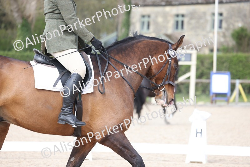 20260404-0847 - Class 5 - Novice 2