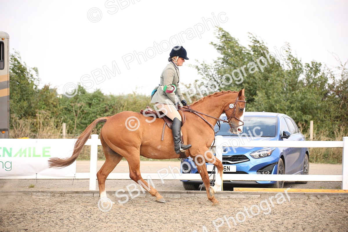 SBM_13623 - Class 406b - Working Veteran 50cm (20+)