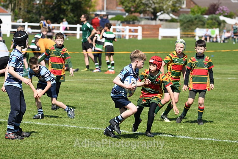  - Selby Rugby Festival 2025