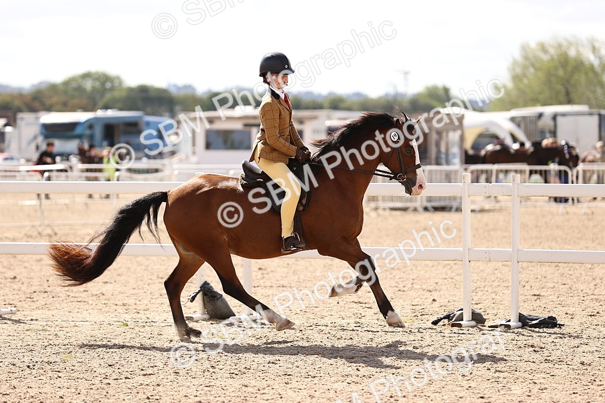 SBM_12879 - Class 409 - Grassroots Ridden - Pony