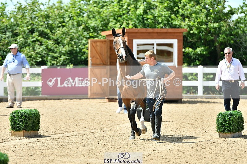 230719A-130523-00270 - Trot Up 1pm to 2pm