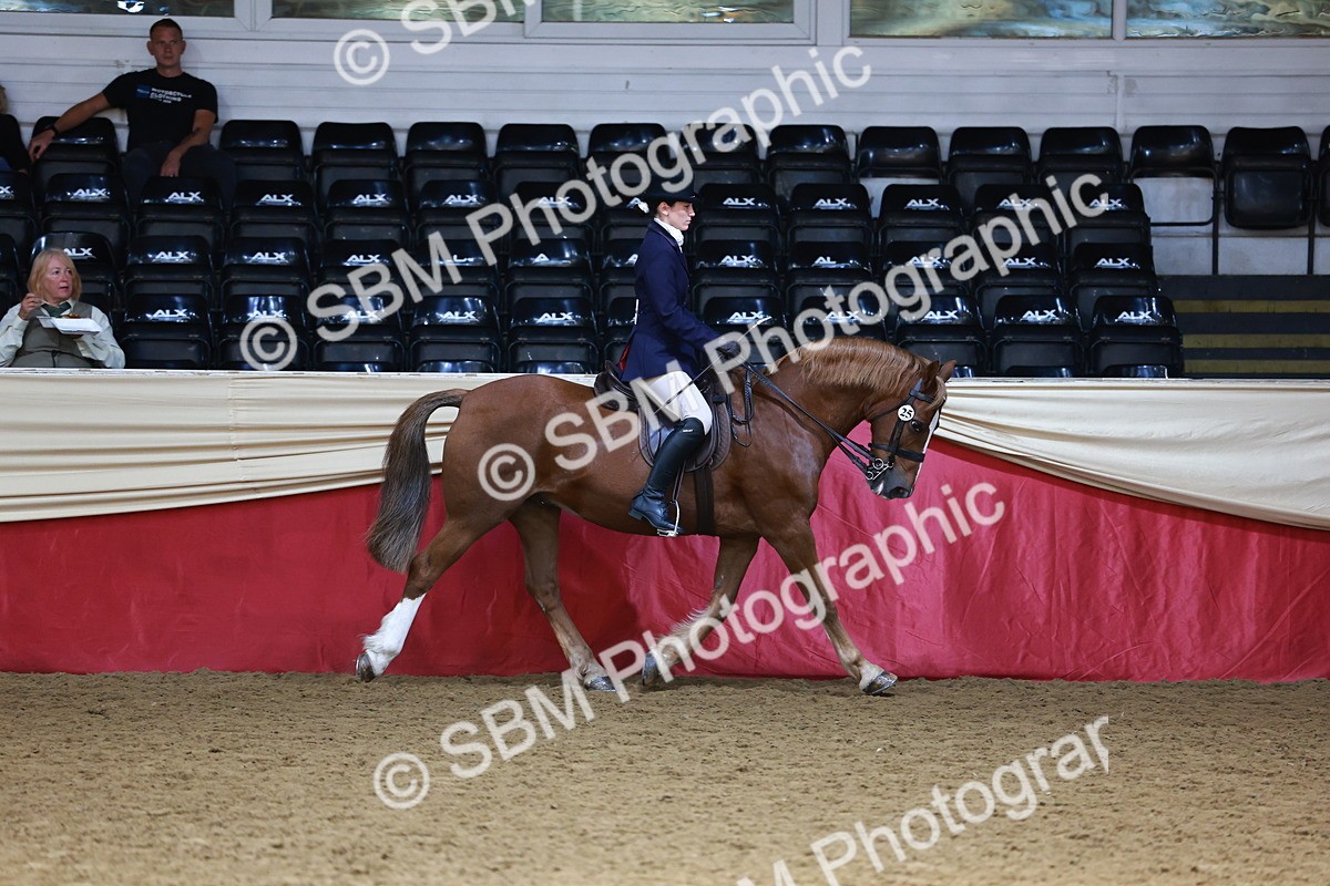 SBM_23087 - Class 904 - Supreme Final - Ridden Diamond