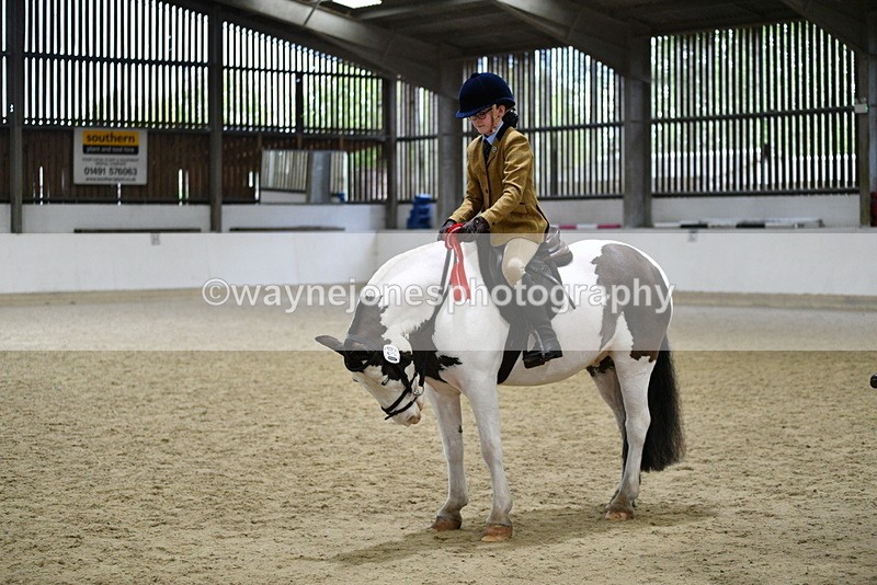 WJ5_7360 - Class 11 Ridden PC - RC Pony