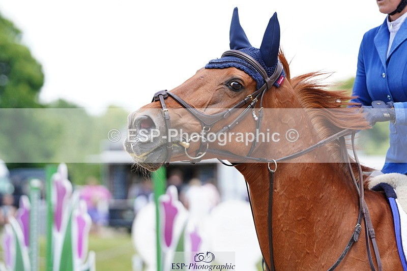 250615A-123356-10849 - Class 46 Snr 1m Open