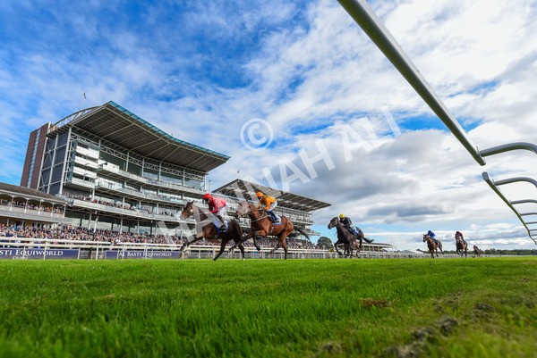 141023-Race 4-Colorada Dancer-4042 - Race 4 3.05pm Coral Racing Club EBF Maiden Stakes