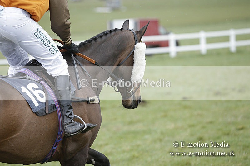 PtP 150320 0273 - New Forest Point-to-Point Larkhill 15/03/20