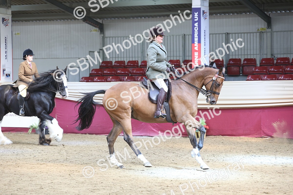 SBM_23742 - class 906 - Supreme Final - Ridden Pre Vet