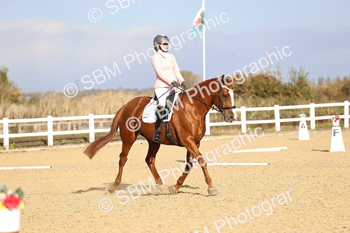 SBM_009161 - Class 2 - P5