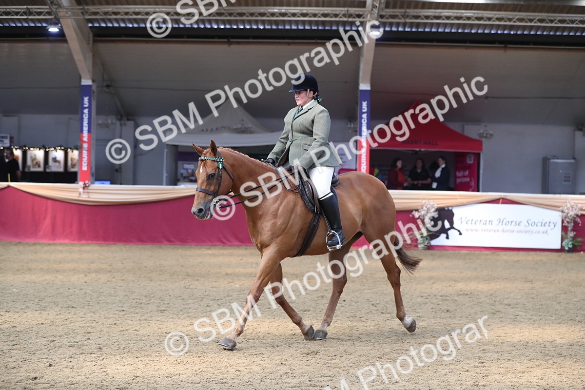 SBM_12372 - Class 108 Ridden Retired Racehorse- Pre Judging