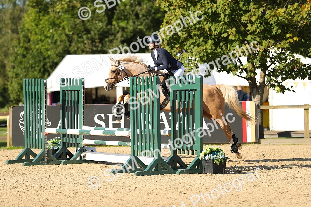 SBM_16686 - J33 - Senior 75cm Championship