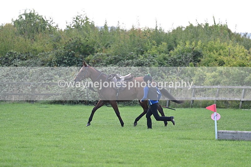 WJ7_0962 - Time 13:30 to 13:54