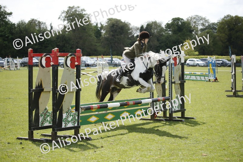 20250427-3754 - Class 14 - Absolute Novice 70cm