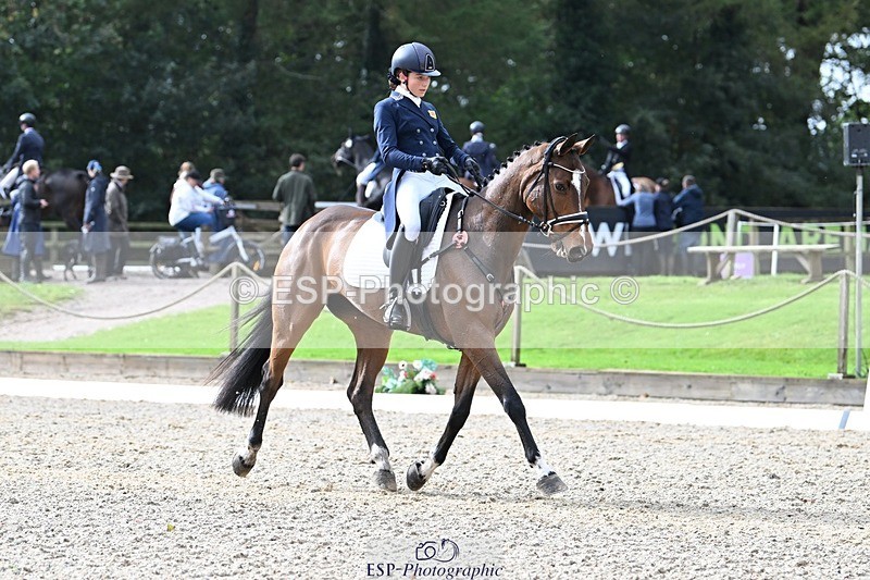 231019-122133-02733 - 044-COOLEY.ON.THE.CARDS-Charlotte.Cooke-DR