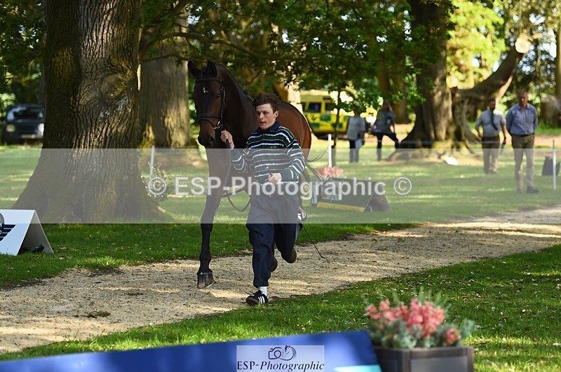 230524-172452-01488 - 174-LANCELOT_BMG-Alfie_Marshall-WEDTrotUp+DR