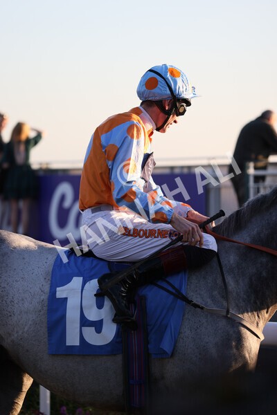 yr08102021r7-16 - Race 7 5.25pm The IRE Incentive, It Pays To Buy Irish Handicap