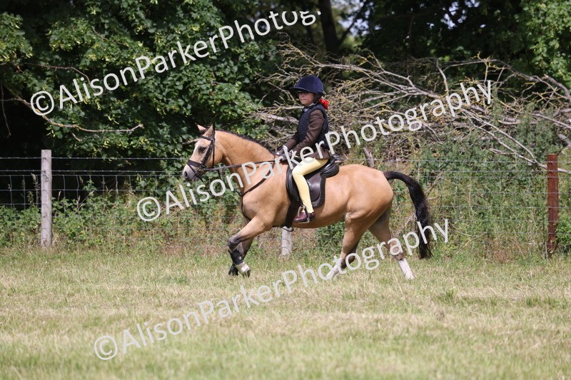 20260614-1906 - Class 21 - Novice Working Hunter Pony